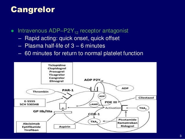 Drugsfact And Fictiondepressantszolpidem Ambien Wikibooks