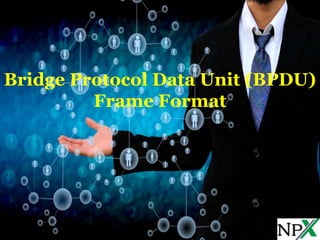Bridge Protocol Data Unit (BPDU) Frame Format | PPT