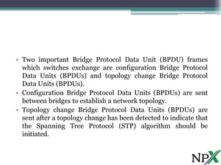 Bridge Protocol Data Unit (BPDU) Frame Format | PPT