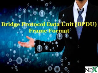Bridge Protocol Data Unit (BPDU)
Frame Format
 