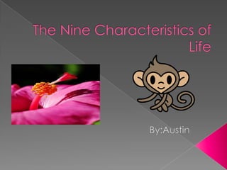 The Nine Characteristics of Life By:Austin 