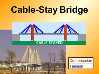 Cable-Stay   Bridge Tension Compression 
