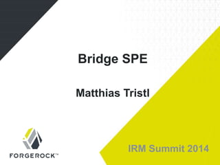 IRM Summit 2014
Bridge SPE
Matthias Tristl
 