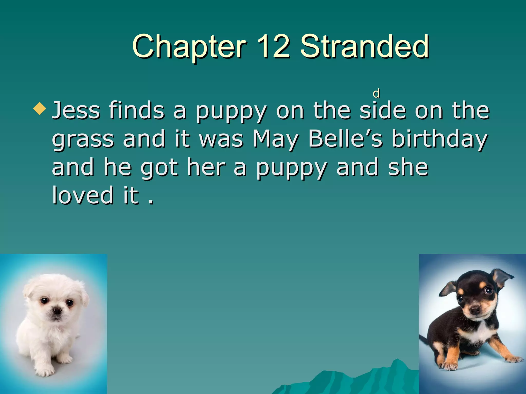 Chapter 12  Stranded Jess finds a puppy on the side on the grass and it was May Belle’s birthday and he got her a puppy and she loved it . d 