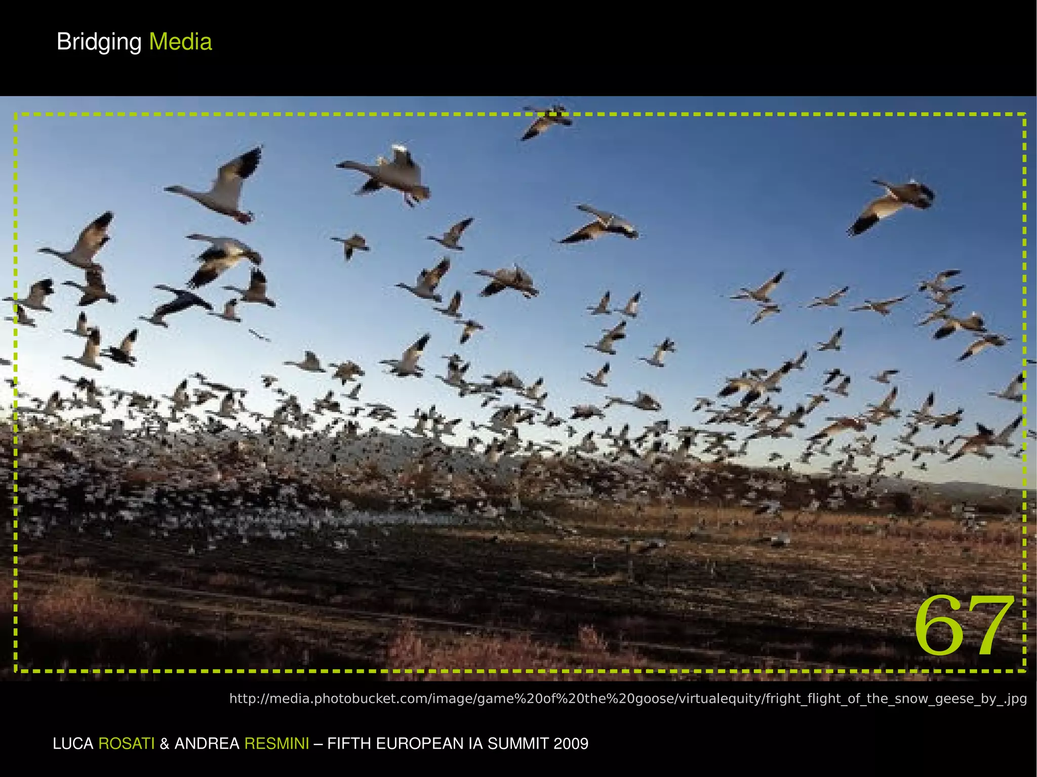 http://media.photobucket.com/image/game%20of%20the%20goose/virtualequity/fright_flight_of_the_snow_geese_by_.jpg 67 
