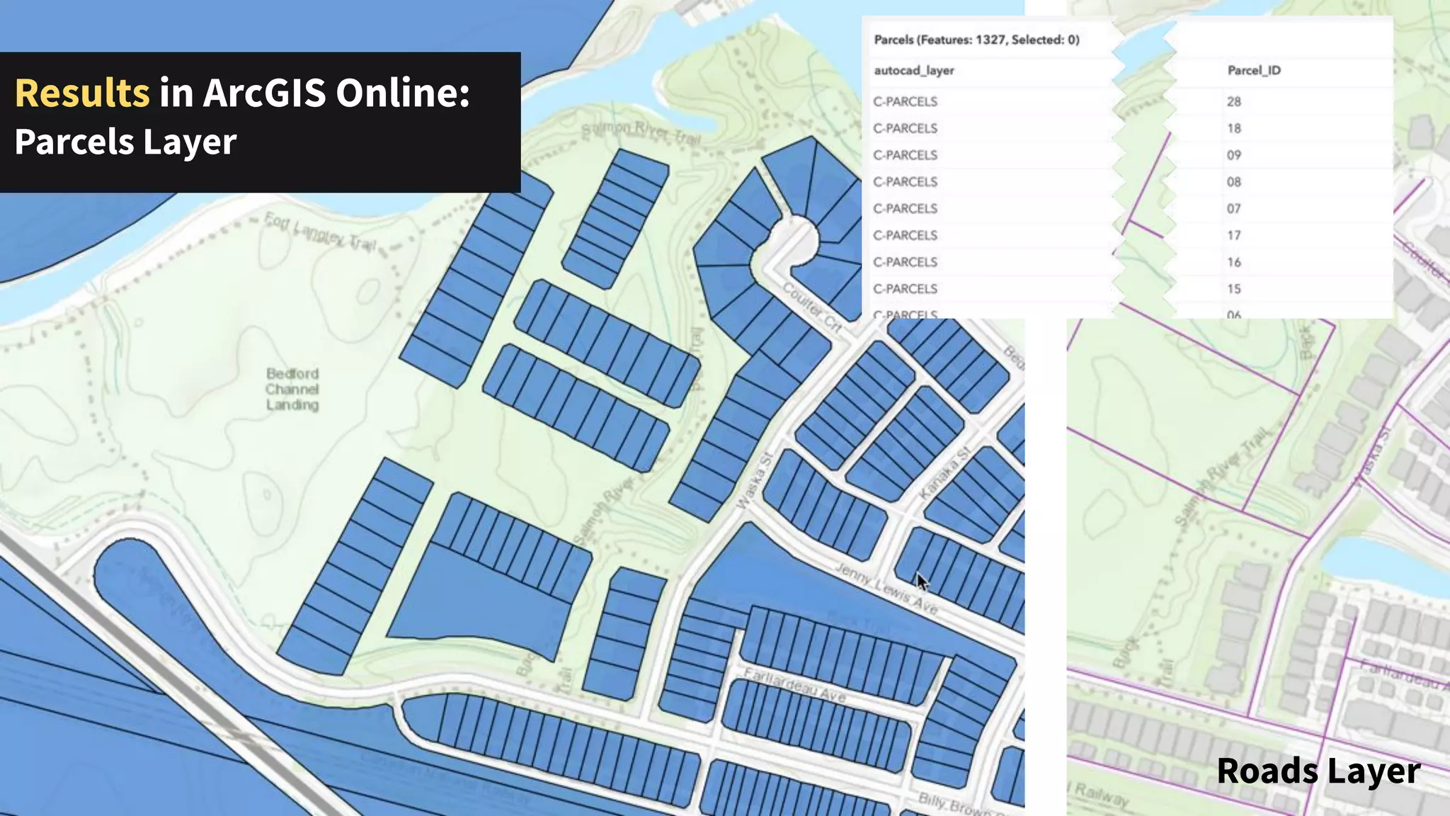 Results in ArcGIS Online:
Parcels Layer
Roads Layer
 