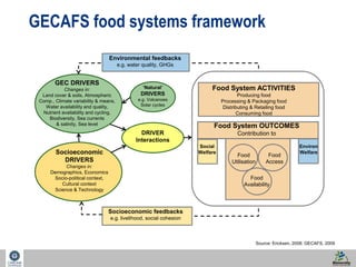 10 
GECAFS food systems framework 
GEC DRIVERS 
Changes in: 
Environmental feedbacks 
Land cover & soils, Atmospheric 
Comp., Climate variability & means, 
Water availability and quality, 
Nutrient availability and cycling, 
Biodiversity, Sea currents 
& salinity, Sea level 
Socioeconomic 
DRIVERS 
Changes in: 
Demographics, Economics 
Socio-political context, 
Cultural context 
Science & Technology 
e.g. water quality, GHGs 
‘Natural’ 
DRIVERS 
e.g. Volcanoes 
Solar cycles 
DRIVER 
Interactions 
Socioeconomic feedbacks 
e.g. livelihood, social cohesion 
Food System ACTIVITIES 
Producing food 
Processing & Packaging food 
Distributing & Retailing food 
Consuming food 
Food System OUTCOMES 
Contribution to 
Social 
Welfare 
Environ 
Welfare 
Food 
Utilisation 
Food 
Access 
Food 
Availability 
Source: Ericksen, 2008; GECAFS, 2009 
 