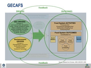 12 
Feedback GECAFS 
DRIVERS OUTCOMES 
Environmental feedbacks 
e.g. water quality, GHGs 
‘Natural’ 
DRIVERS 
e.g. Volcanoes 
Solar cycles 
DRIVER 
Interactions 
Land cover & soils, Atmospheric 
Comp., Climate variability & means, 
Water availability and quality, 
Nutrient availability and cycling, 
Socioeconomic feedbacks 
e.g. livelihood, social cohesion 
GEC DRIVERS 
Changes in: 
Biodiversity, Sea currents 
& salinity, Sea level 
Socioeconomic 
DRIVERS 
Changes in: 
Demographics, Economics 
Socio-political context, 
Cultural context 
Science & Technology 
Food System ACTIVITIES 
Producing food 
Processing & Packaging food 
Distributing & Retailing food 
Consuming food 
Food System OUTCOMES 
Contribution to 
Social 
Welfare 
Environ 
Welfare 
Food 
Utilisation 
Food 
Access 
Food 
Availability 
Feedback 
Source: adapted from Ericksen, 2008; GECAFS, 2009 
 