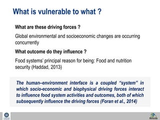 22 
What is vulnerable to what ? 
What are these driving forces ? 
Global environmental and socioeconomic changes are occurring 
concurrently 
What outcome do they influence ? 
Food systems’ principal reason for being: Food and nutrition 
security (Haddad, 2013) 
The human–environment interface is a coupled “system” in 
which socio-economic and biophysical driving forces interact 
to influence food system activities and outcomes, both of which 
subsequently influence the driving forces (Foran et al., 2014) 
 