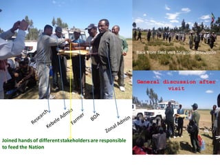 ARARI report on N2Africa Bridging Year Progress in Ethiopia (2013) 