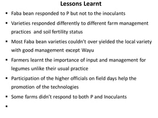 ARARI report on N2Africa Bridging Year Progress in Ethiopia (2013) 