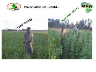 ARARI report on N2Africa Bridging Year Progress in Ethiopia (2013) 