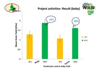 ARARI report on N2Africa Bridging Year Progress in Ethiopia (2013) 
