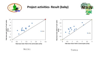 ARARI report on N2Africa Bridging Year Progress in Ethiopia (2013) 