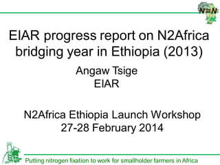 በሀዋሳ ዩኒቨርሰቲ የ
ጋር በመ
HAWASSA U
DIRECTO
EIAR progress report on N2Africa bridging
year in Ethiopia (2013)
Putting nitrogen fixation to work for smallholder farmers in Africa
Angaw Tsige, EIAR
N2Africa Ethiopia Launch Workshop, ILRI
27-28 February 2014
 