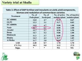 EIAR progress report on N2Africa bridging year in Ethiopia (2013)