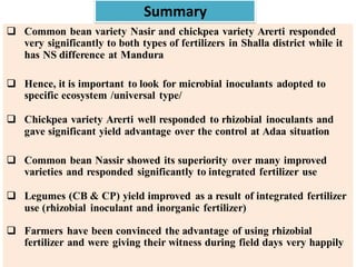 EIAR progress report on N2Africa bridging year in Ethiopia (2013)