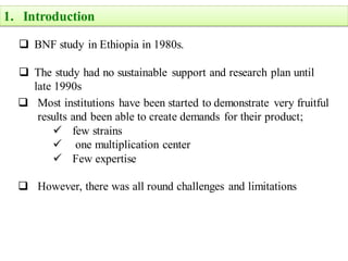 EIAR progress report on N2Africa bridging year in Ethiopia (2013)