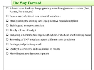 EIAR progress report on N2Africa bridging year in Ethiopia (2013)