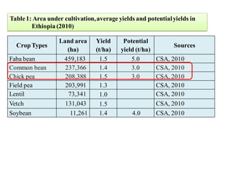 EIAR progress report on N2Africa bridging year in Ethiopia (2013)