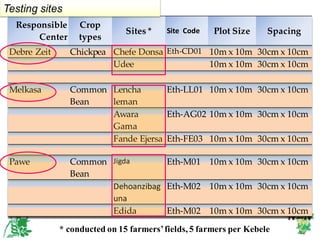 EIAR progress report on N2Africa bridging year in Ethiopia (2013)