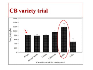 OARI progress report on N2Africa bridging year in Ethiopia (2013) 