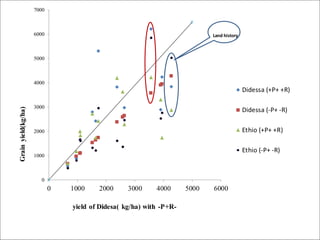 OARI progress report on N2Africa bridging year in Ethiopia (2013) 
