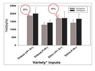 OARI progress report on N2Africa bridging year in Ethiopia (2013) 