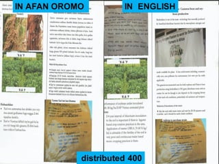 OARI progress report on N2Africa bridging year in Ethiopia (2013) 