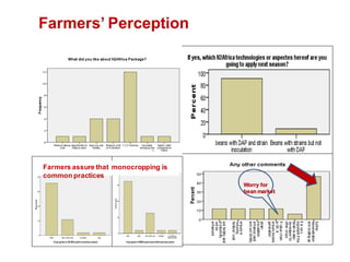 OARI progress report on N2Africa bridging year in Ethiopia (2013) 