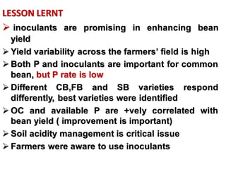 OARI progress report on N2Africa bridging year in Ethiopia (2013) 