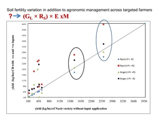 OARI progress report on N2Africa bridging year in Ethiopia (2013) 