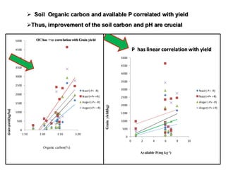 OARI progress report on N2Africa bridging year in Ethiopia (2013) 