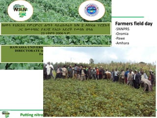 ILRI progress report on N2Africa bridging year in Ethiopia (2013)