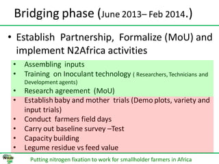 ILRI progress report on N2Africa bridging year in Ethiopia (2013)