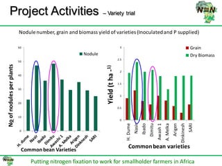 N2Africa bridging year progress in SNNPRS, Ethiopia (2013) 