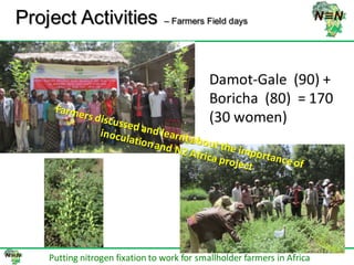 N2Africa bridging year progress in SNNPRS, Ethiopia (2013) 