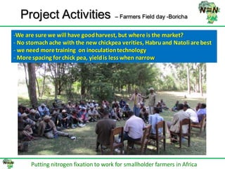 N2Africa bridging year progress in SNNPRS, Ethiopia (2013) 