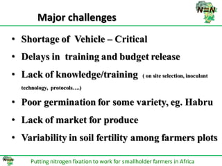 N2Africa bridging year progress in SNNPRS, Ethiopia (2013) 