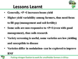 N2Africa bridging year progress in SNNPRS, Ethiopia (2013) 