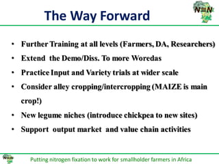 N2Africa bridging year progress in SNNPRS, Ethiopia (2013) 