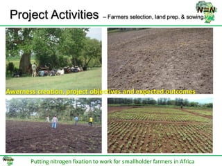 N2Africa bridging year progress in SNNPRS, Ethiopia (2013) 