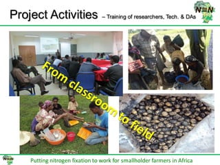 N2Africa bridging year progress in SNNPRS, Ethiopia (2013) 