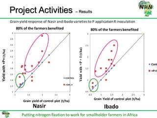 N2Africa bridging year progress in SNNPRS, Ethiopia (2013) 