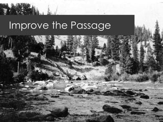 Improve the Passage
 