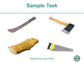 Sample Task 
(Adapted 
from 
Luria, 
1976) 
 