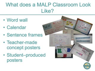 What does a MALP Classroom Look 
Like? 
• Word wall 
• Calendar 
• Sentence frames 
• Teacher-made 
concept posters 
• Student–produced 
posters 
 