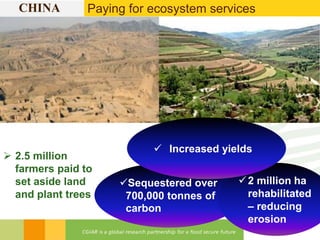 Bridging the gaps: Challenges and Opportunities 