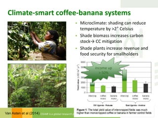 Bridging the gaps: Challenges and Opportunities 