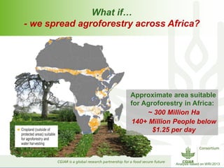 Bridging the gaps: Challenges and Opportunities 